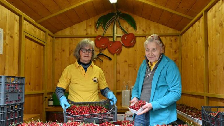 Še danes v Mačkoljah v znamenju češenj