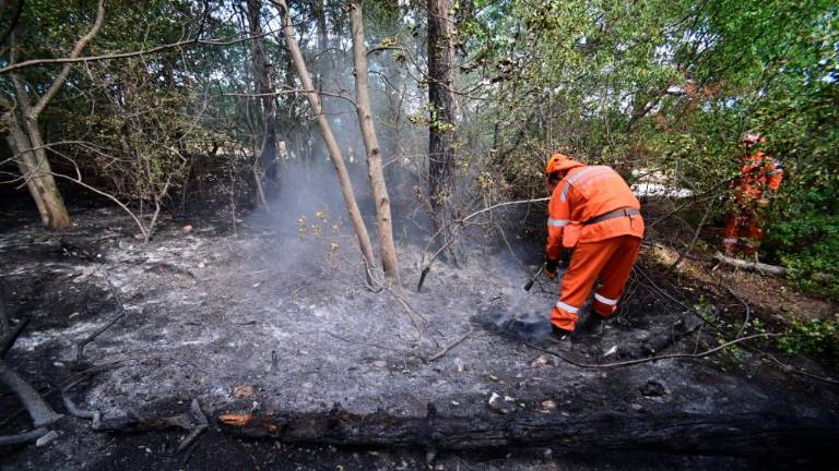Požar na šohtu pogasili, požarišče bonificirajo (foto)