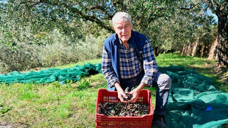 »Belica se je z listi prilagodila burji«