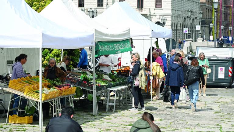 Tržaški branjevci se s Trga sv. Antona selijo na Ponteroš