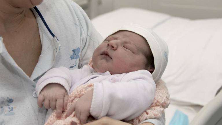 Lani se je rodilo 831 otrok
