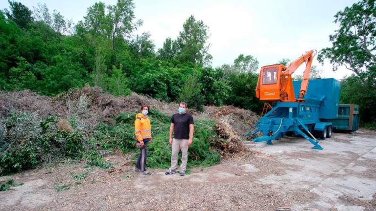 V Boljuncu uspešen pilotni projekt proizvodnje biomase