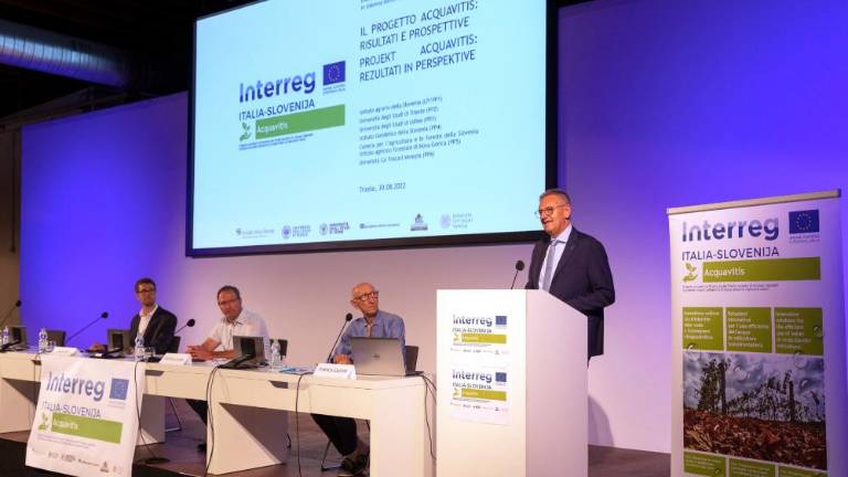 Odpornost trte presenetljiva, vode pa vsako leto manj