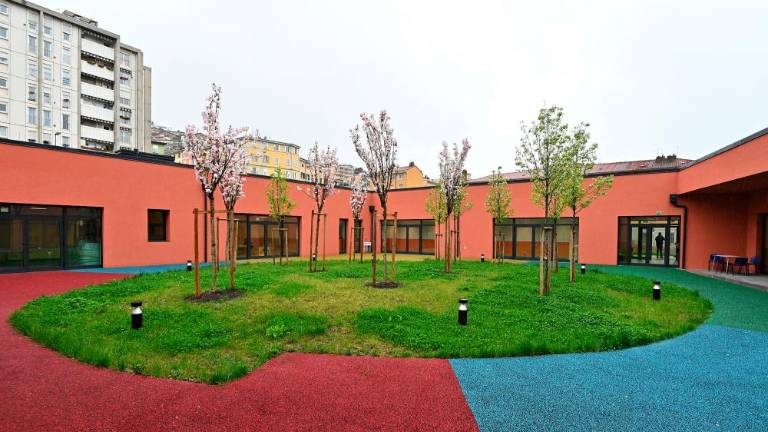 V ponedeljek bo znana usoda rojanskih jasli