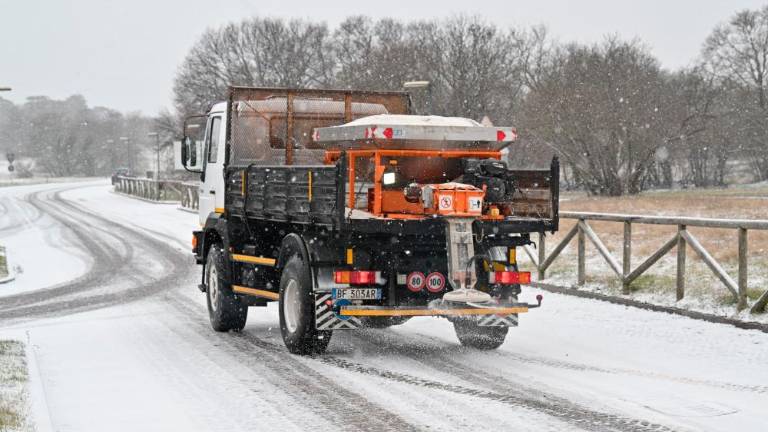Sneg pobelil Kraško planoto, sneži tudi v Trstu (foto in video)