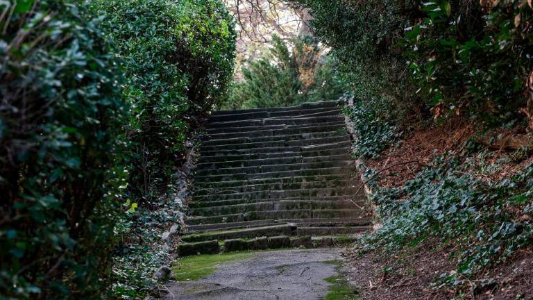 Želeli bi manj pregrad in vsem dostopen prostor za skupnost