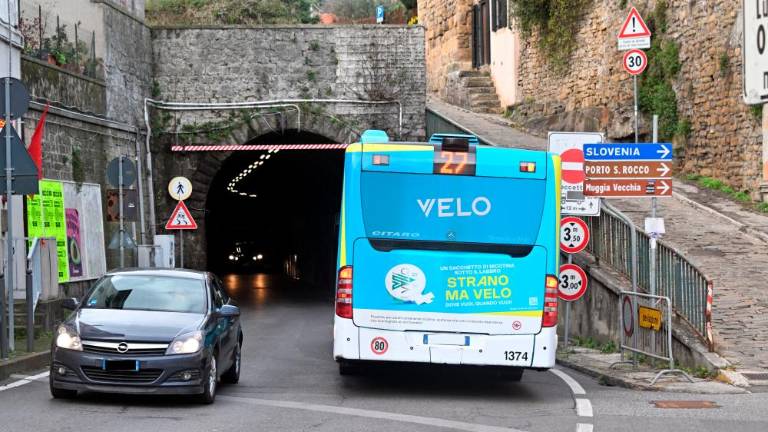 Vložili priziv proti širitvi miljskega predora