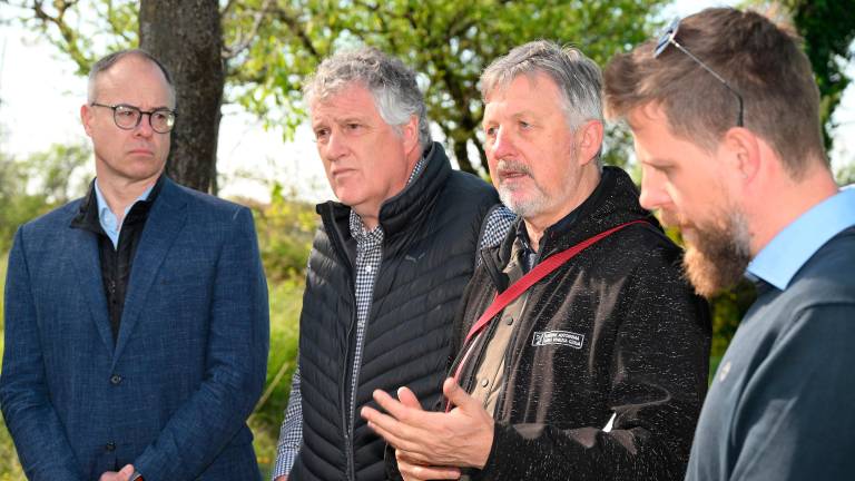 Čiščenje kraške gmajne pri Štivanu