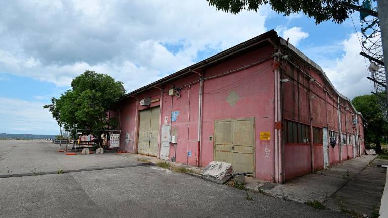 V skladišču 27b bi uredili podružnico umetnostnega centra iz Budimpešte