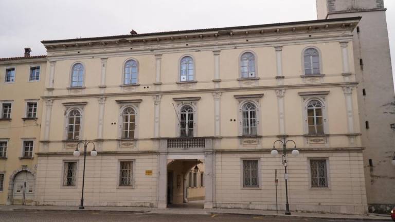 V Gorici študentje namesto policistov