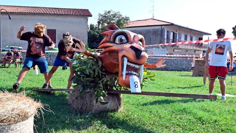 Ob domačih letos tudi medvaške karjole
