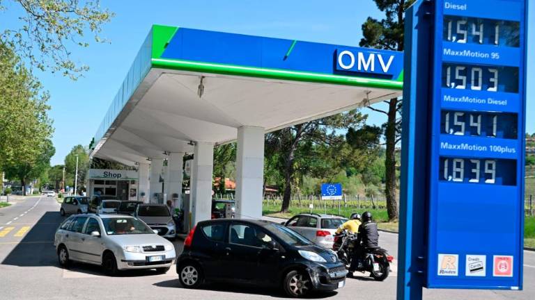 Vrste pred slovenskimi obmejnimi črpalkami