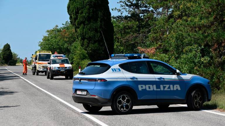 Požar pri Štivanu na cesti skozi Dol pogasili (VIDEO)