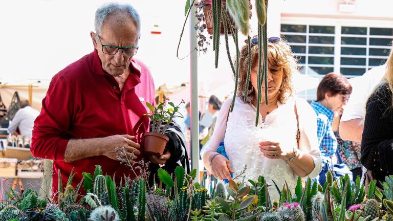 Jubilejni cvetlični sejem Horti Tergestini privabil številne obiskovalce