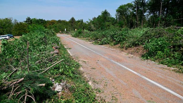Na požariščih na komenskem Krasu noč mirna