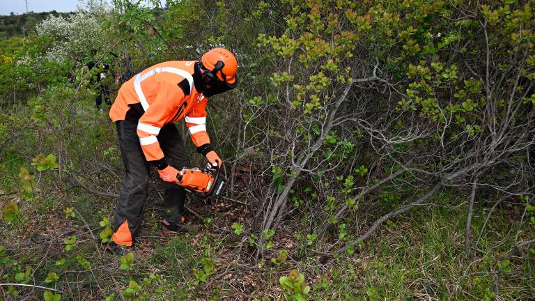 Čiščenje kraške gmajne pri Štivanu
