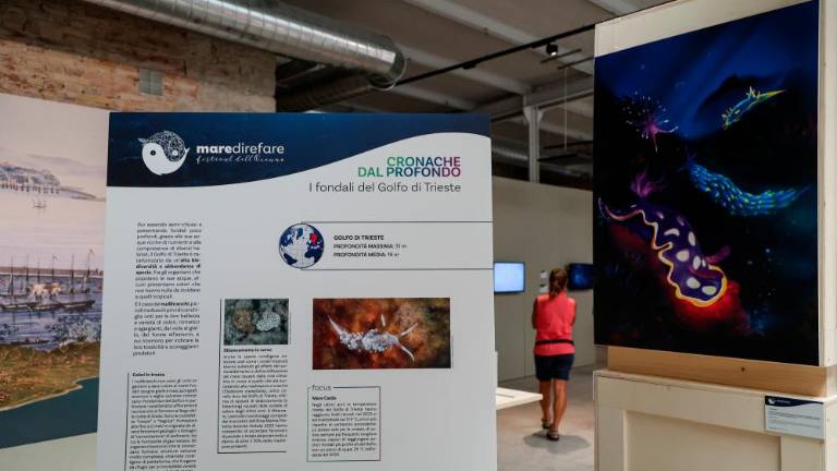 Ilustrirane pripovedi iz morskih globin