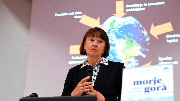 Podnebnih sprememb ne moremo več ustaviti, lahko jih le ublažimo