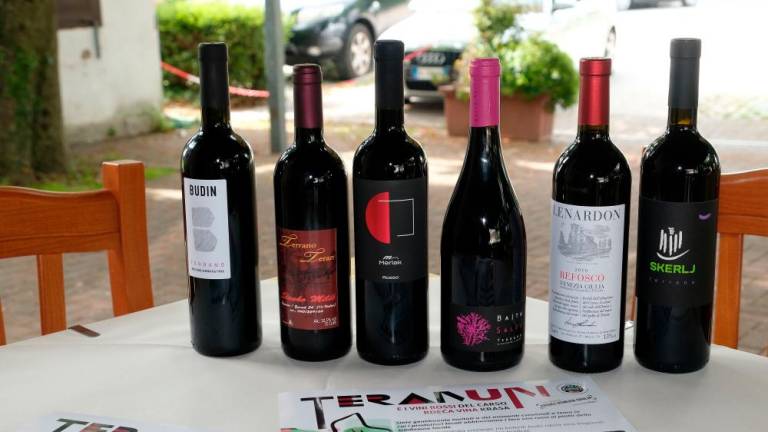 V Italiji si bo za teran prizadevalo Društvo vinogradnikov s Krasa