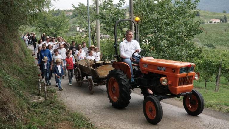 Števerjansko reprezentančno vino, vino vseh občanov
