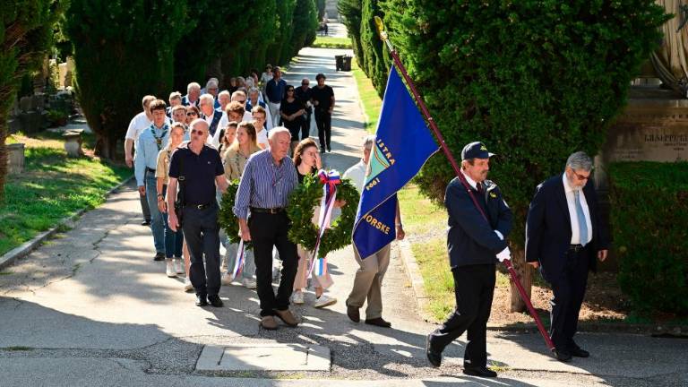Želi si Evrope s koreninami in perutmi