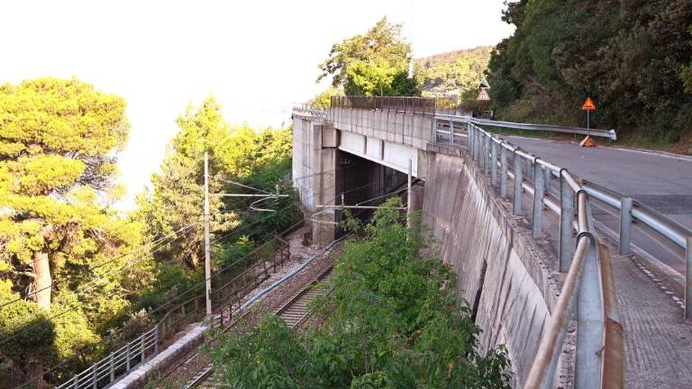 Tragedija družine Verša pospešila gradnjo nadvoza