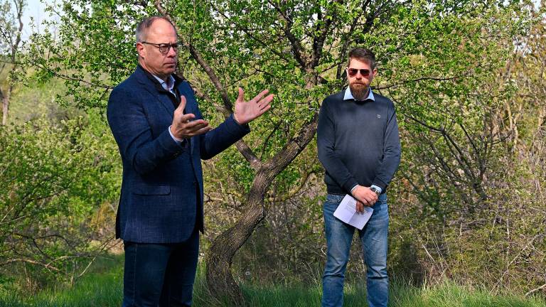 Čiščenje kraške gmajne pri Štivanu