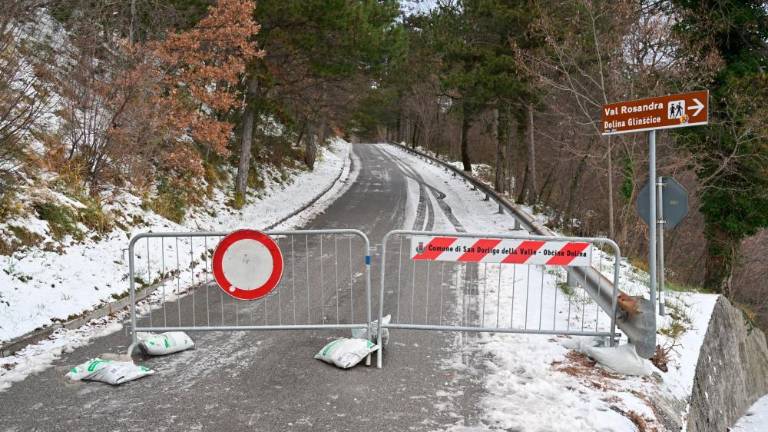 Na Tržaškem zdaj vsi avtobusi redno vozijo