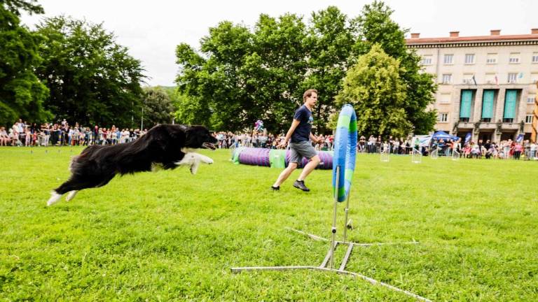 Mesto je za en dan postalo raj za otroke