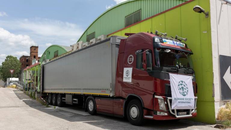 Proti Lvovu krenil tovornjak s 23 tonami zdravil in hrane za živali