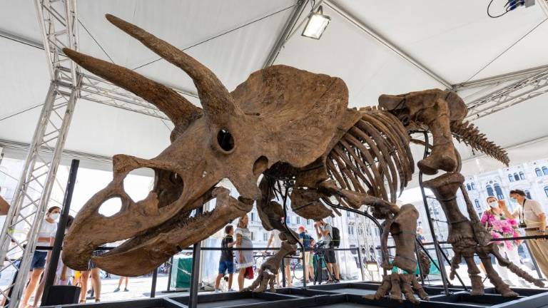 Big John v Guinnessovi knjigi rekordov