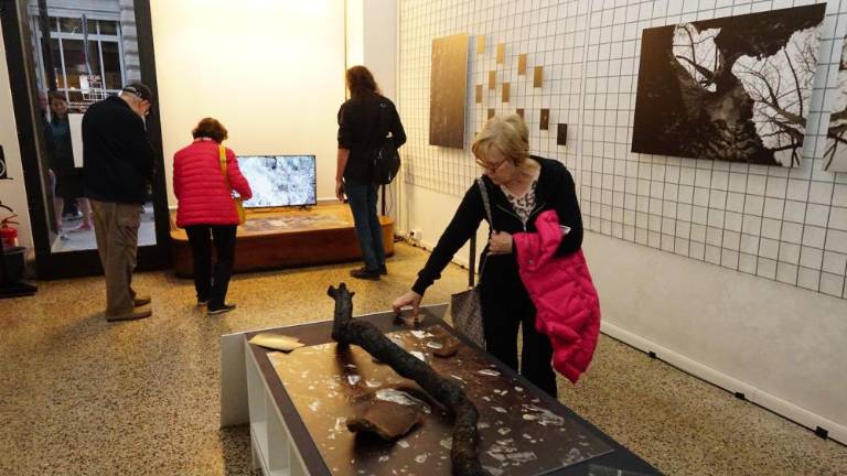 Zoglenela drevesa kot padli vojaki