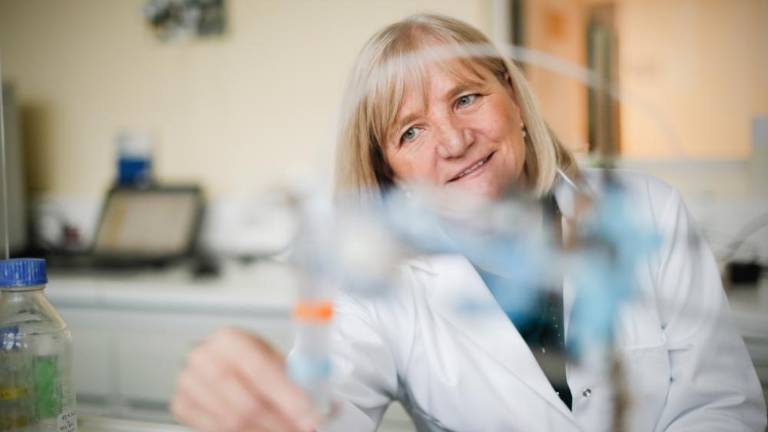 »Dokazov o škodljivih učinkih živega srebra na zarodek nismo potrdili«