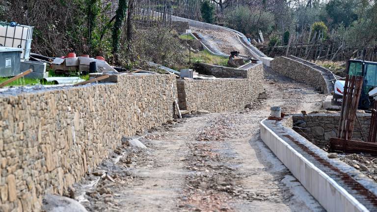 Vinogradniki bodo letos trgali ob širši in povsem prevozni cesti