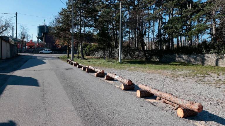 Bani: kmalu konec divjega parkiranja?