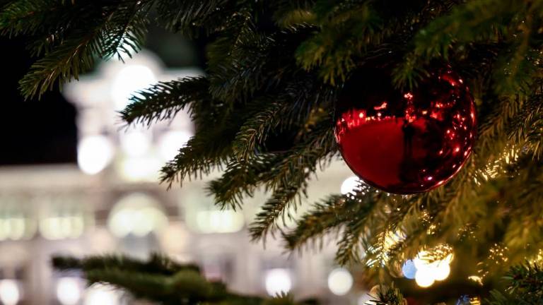 V Trstu prižgali praznične lučke