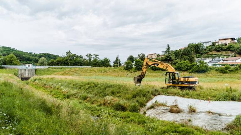 Koren bo bolj pretočen in urejen