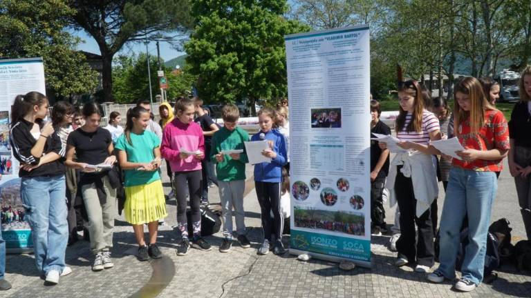 Izsledke strnili na dvanajstih dvojezičnih panojih