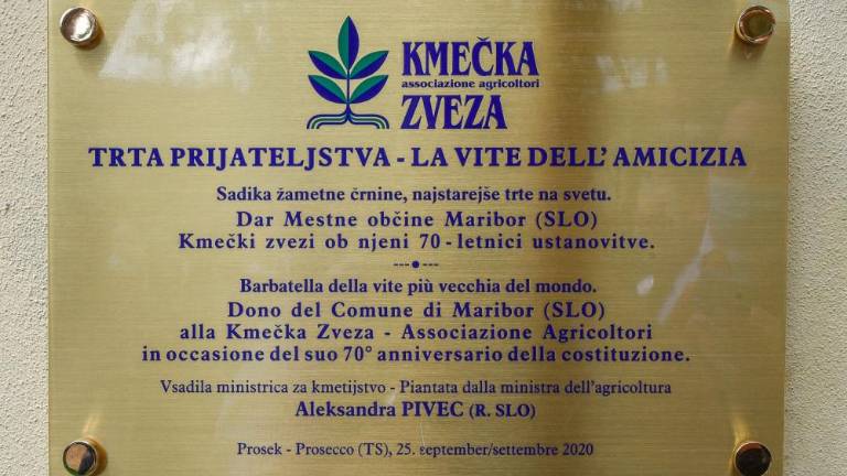 Ob 70-letnici Kmečke zveze trta prijateljstva in nova etiketa prosekarja