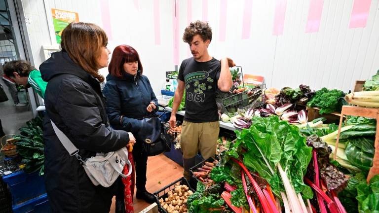 Krajevne odličnosti na Pokriti tržnici