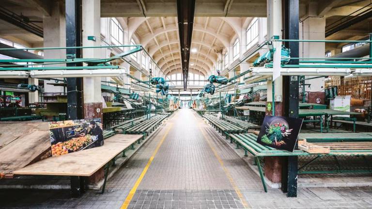 Mobilizacija za ponovno oživitev goriške tržnice