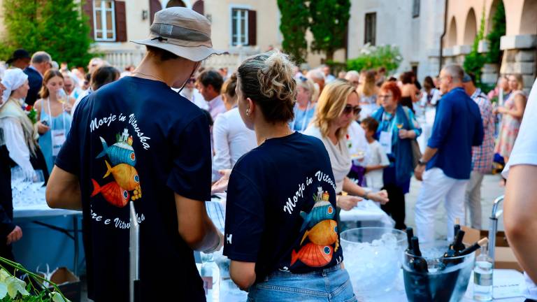 Vitovska po zaslugi vinogradnikov vse bolj prepoznavna