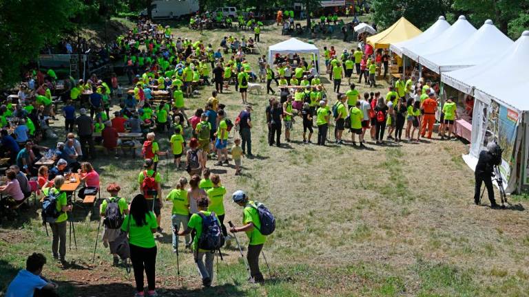 Tisoči na Kohišče