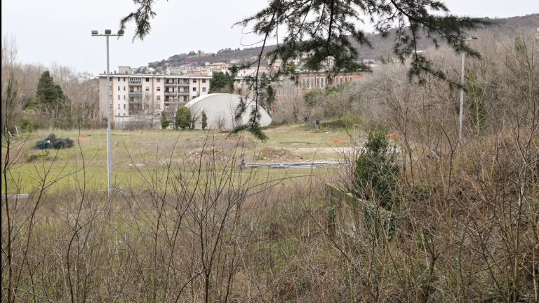 »Problem Stadiona 1. maj je zdaj izključno politične narave«