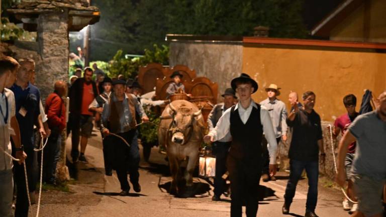 Tudi bala prispela v Kraško hišo