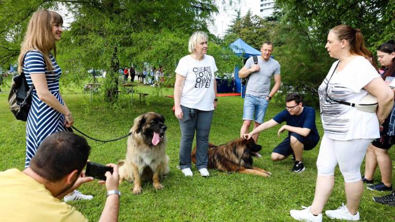 Raj za ljubitelje živali