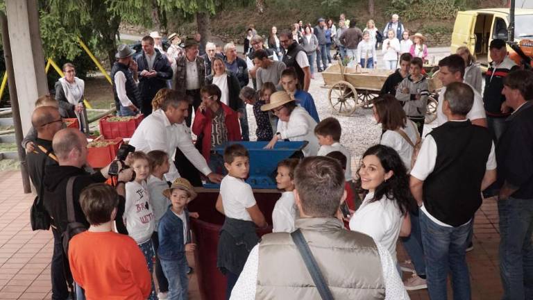 Števerjansko reprezentančno vino, vino vseh občanov
