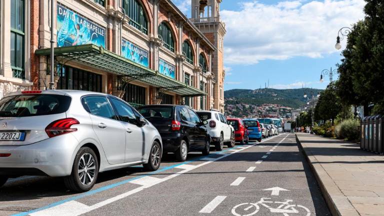 O kolesarski poti na nabrežju nasprotujoča si mnenja