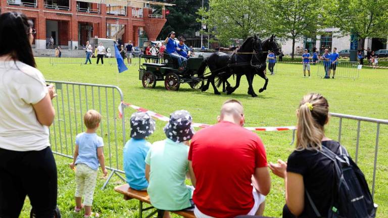 Raj za ljubitelje živali