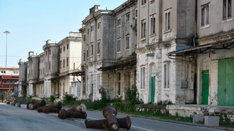 »Za revitalizacijo starega pristanišča bi poselitev morala biti 25-odstotna«